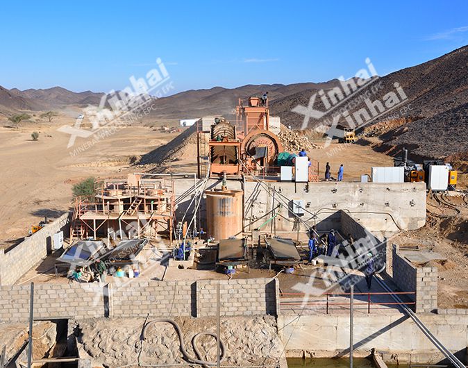 Gold Mineral Processing Plant